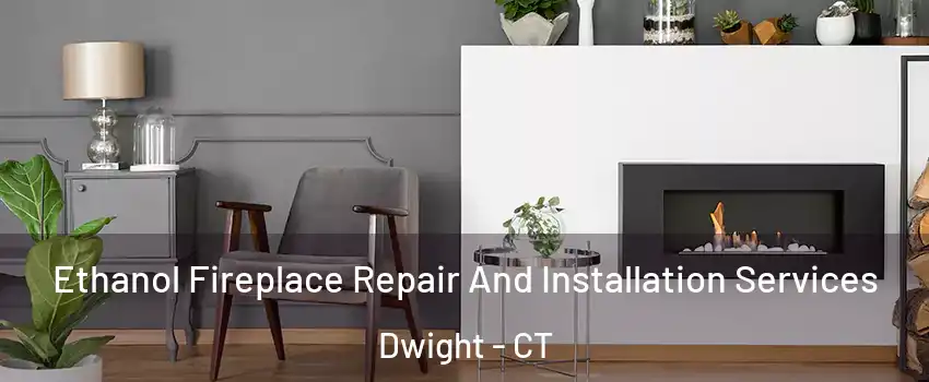 Ethanol Fireplace Repair And Installation Services Dwight - CT