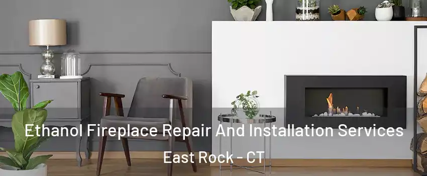 Ethanol Fireplace Repair And Installation Services East Rock - CT