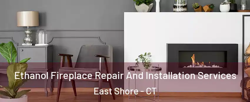 Ethanol Fireplace Repair And Installation Services East Shore - CT