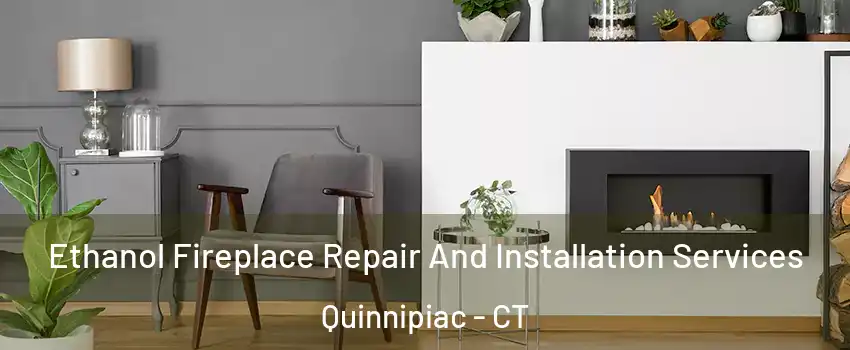 Ethanol Fireplace Repair And Installation Services Quinnipiac - CT
