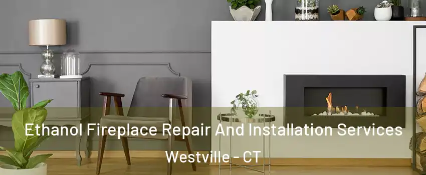 Ethanol Fireplace Repair And Installation Services Westville - CT