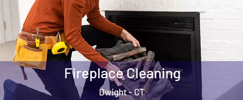 Fireplace Cleaning Dwight - CT