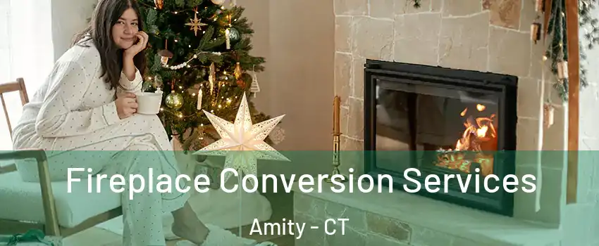 Fireplace Conversion Services Amity - CT