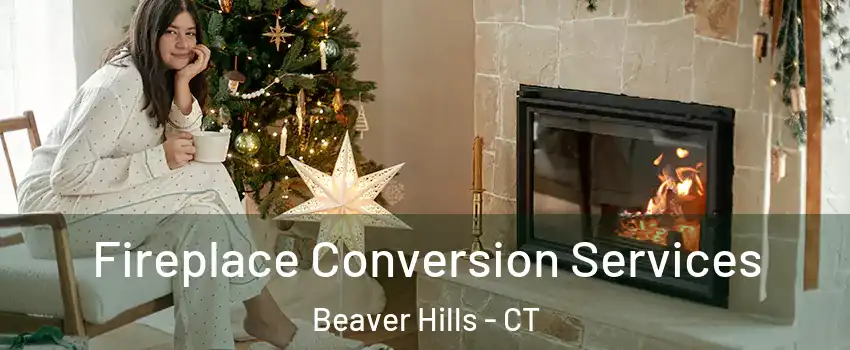 Fireplace Conversion Services Beaver Hills - CT