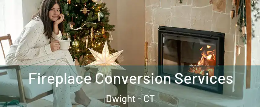 Fireplace Conversion Services Dwight - CT