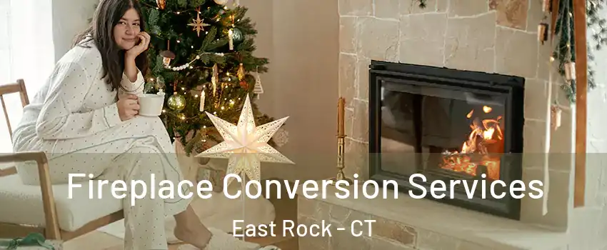 Fireplace Conversion Services East Rock - CT