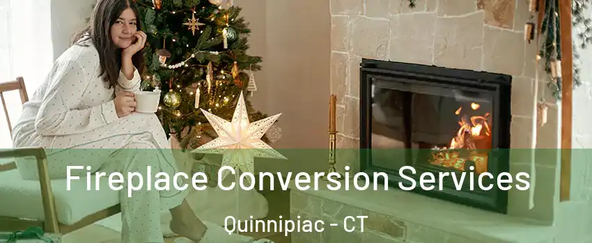 Fireplace Conversion Services Quinnipiac - CT