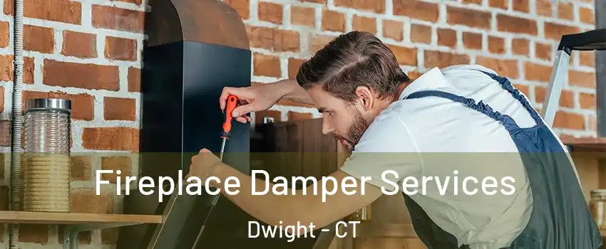 Fireplace Damper Services Dwight - CT