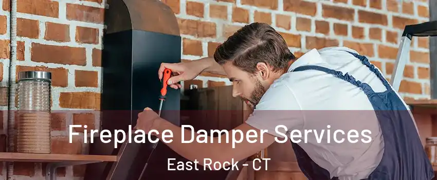 Fireplace Damper Services East Rock - CT