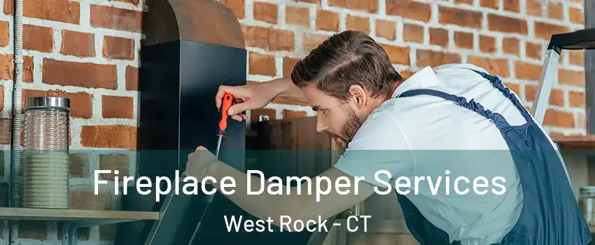 Fireplace Damper Services West Rock - CT