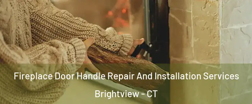 Fireplace Door Handle Repair And Installation Services Brightview - CT