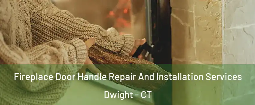 Fireplace Door Handle Repair And Installation Services Dwight - CT