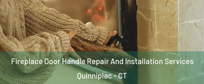 Fireplace Door Handle Repair And Installation Services Quinnipiac - CT