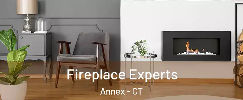 Fireplace Experts Annex - CT