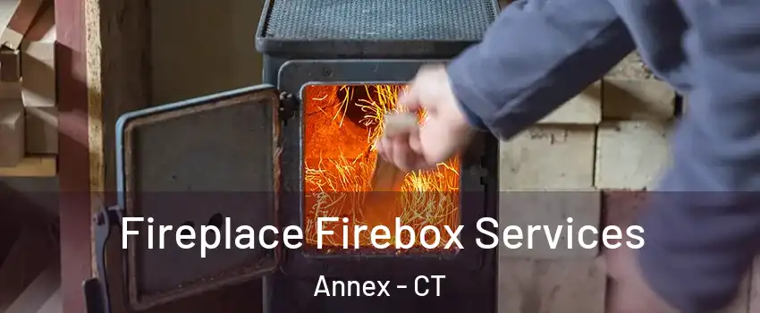 Fireplace Firebox Services Annex - CT