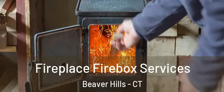 Fireplace Firebox Services Beaver Hills - CT