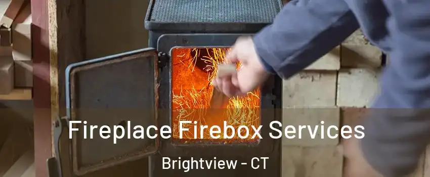 Fireplace Firebox Services Brightview - CT