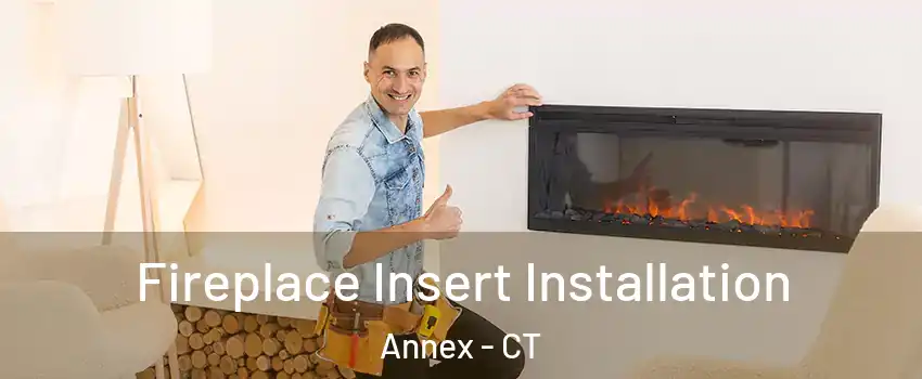 Fireplace Insert Installation Annex - CT
