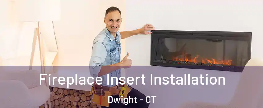 Fireplace Insert Installation Dwight - CT