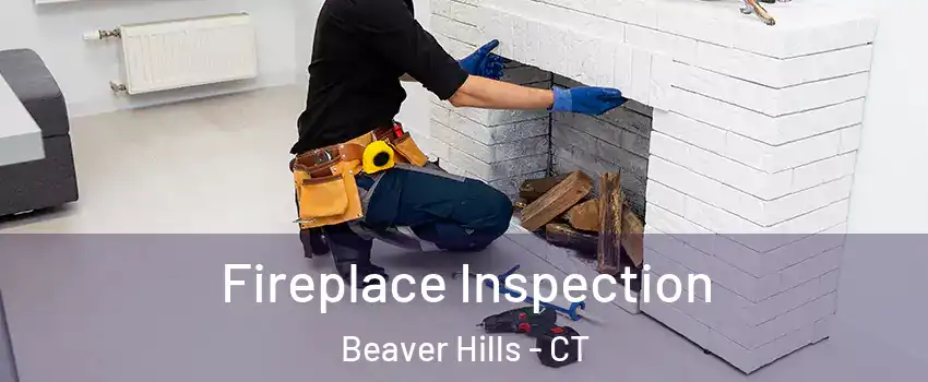 Fireplace Inspection Beaver Hills - CT