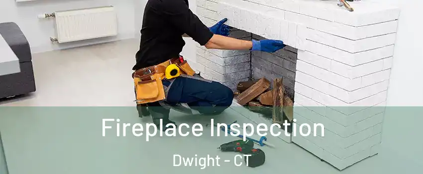 Fireplace Inspection Dwight - CT