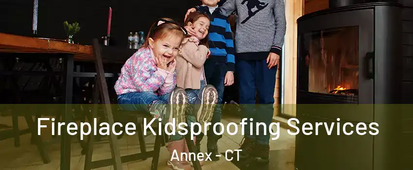 Fireplace Kidsproofing Services Annex - CT