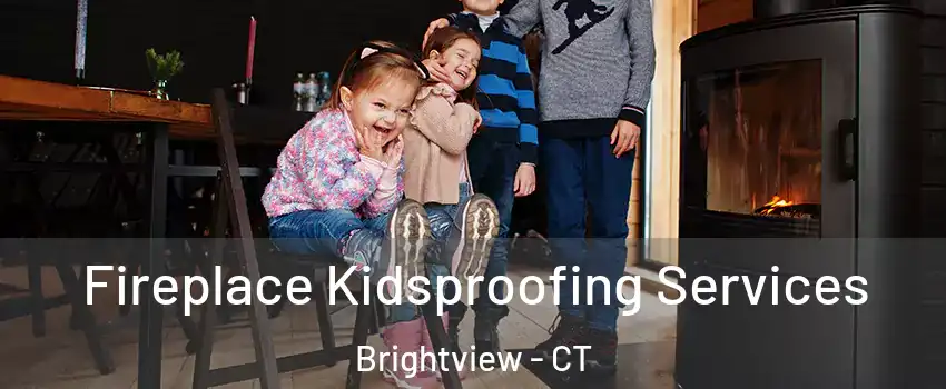 Fireplace Kidsproofing Services Brightview - CT