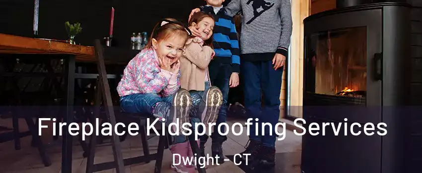 Fireplace Kidsproofing Services Dwight - CT