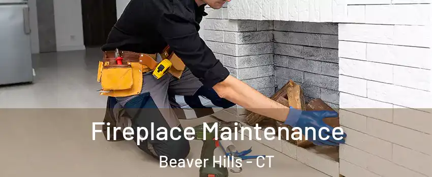 Fireplace Maintenance Beaver Hills - CT