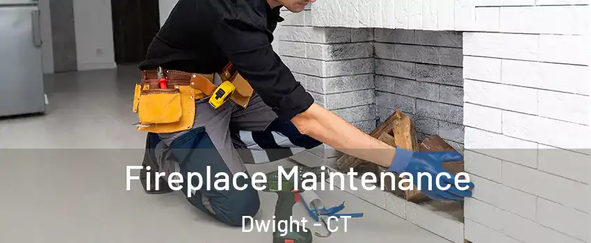 Fireplace Maintenance Dwight - CT