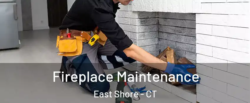 Fireplace Maintenance East Shore - CT