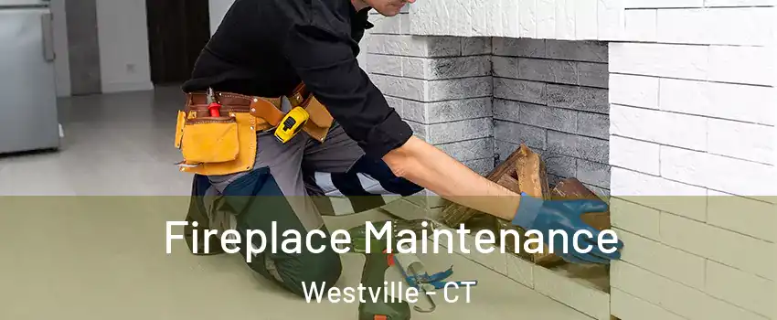 Fireplace Maintenance Westville - CT