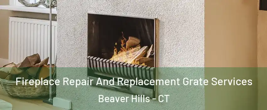 Fireplace Repair And Replacement Grate Services Beaver Hills - CT