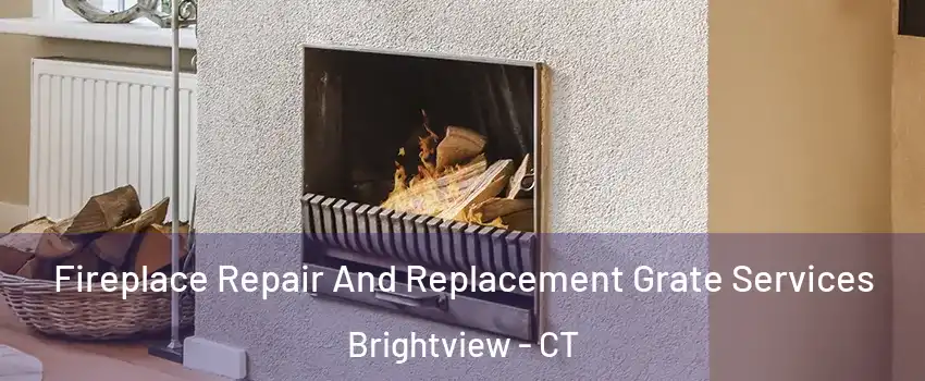 Fireplace Repair And Replacement Grate Services Brightview - CT