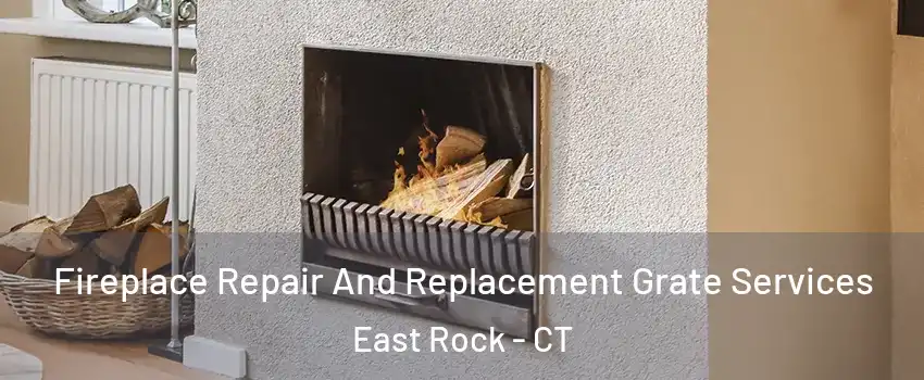 Fireplace Repair And Replacement Grate Services East Rock - CT
