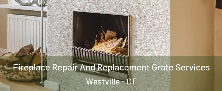 Fireplace Repair And Replacement Grate Services Westville - CT
