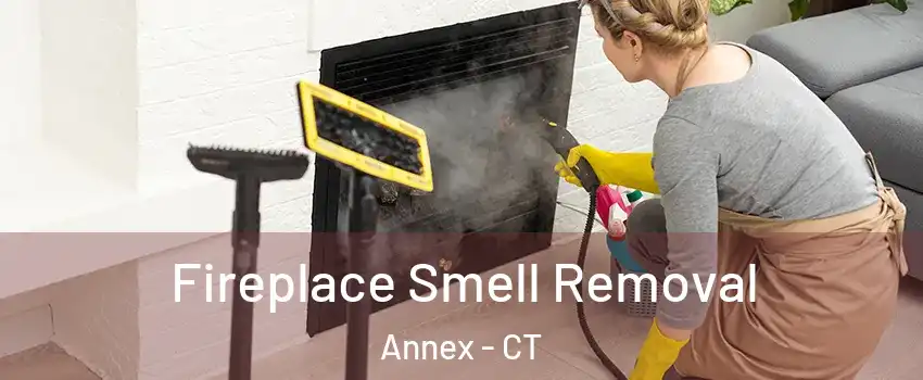 Fireplace Smell Removal Annex - CT
