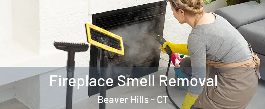 Fireplace Smell Removal Beaver Hills - CT
