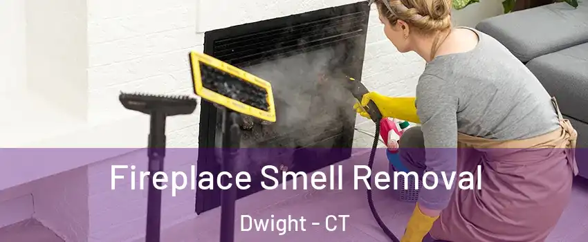 Fireplace Smell Removal Dwight - CT