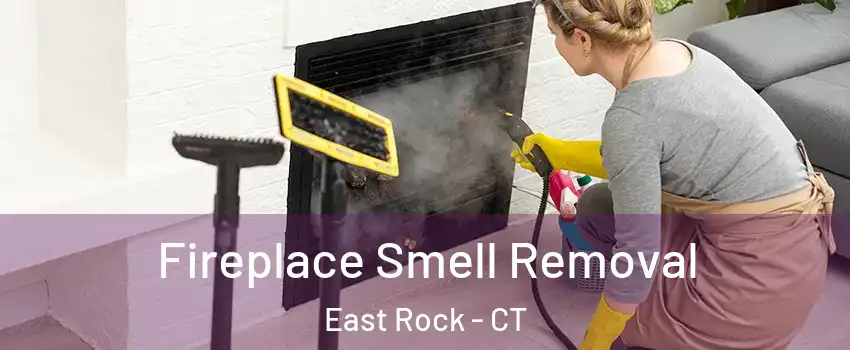 Fireplace Smell Removal East Rock - CT