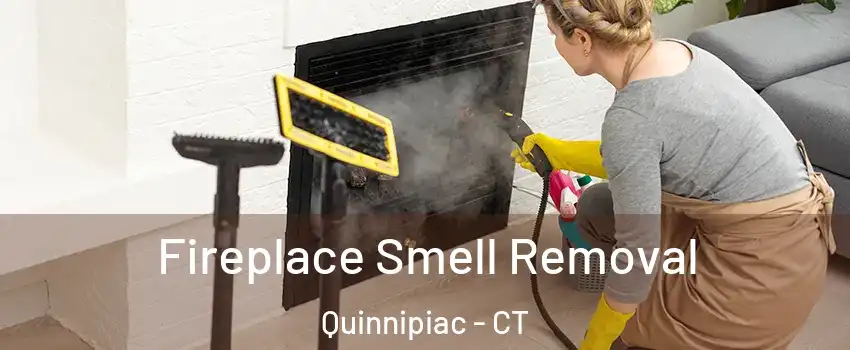 Fireplace Smell Removal Quinnipiac - CT