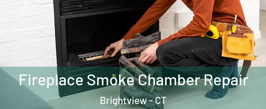 Fireplace Smoke Chamber Repair Brightview - CT