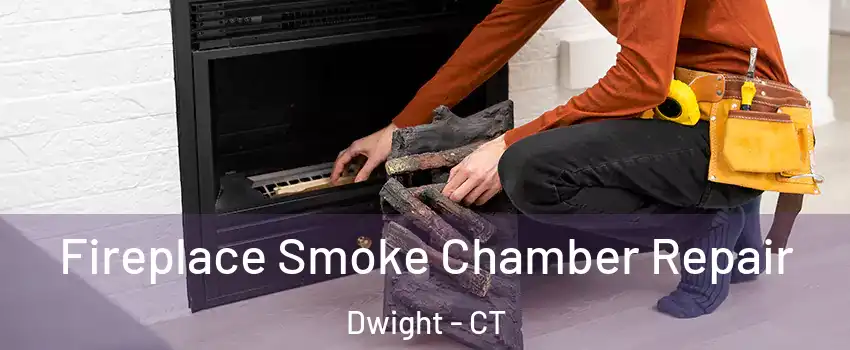 Fireplace Smoke Chamber Repair Dwight - CT
