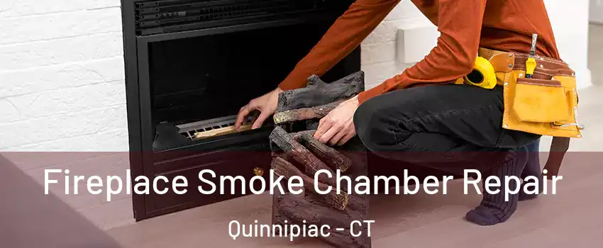 Fireplace Smoke Chamber Repair Quinnipiac - CT