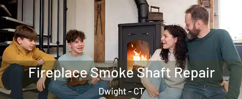 Fireplace Smoke Shaft Repair Dwight - CT