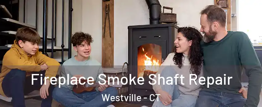 Fireplace Smoke Shaft Repair Westville - CT
