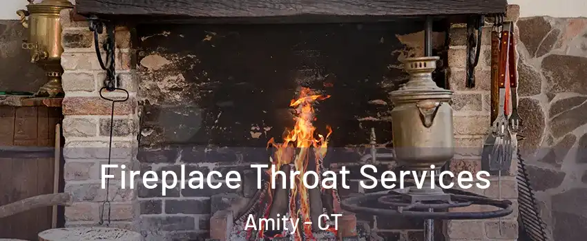 Fireplace Throat Services Amity - CT