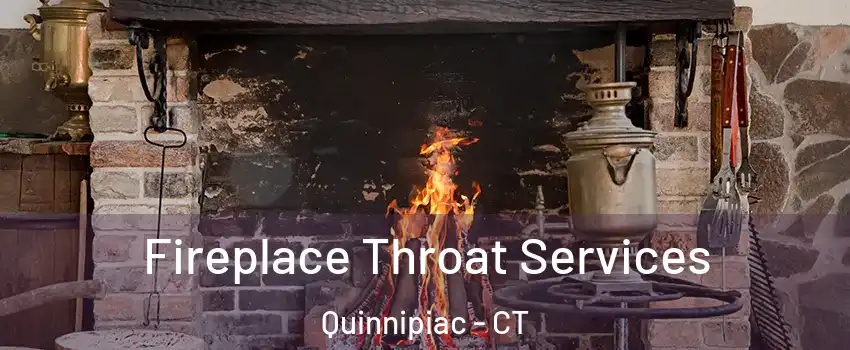Fireplace Throat Services Quinnipiac - CT