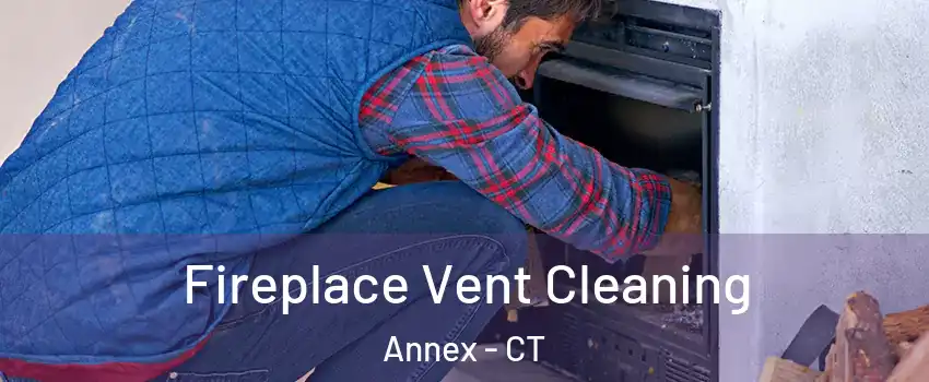 Fireplace Vent Cleaning Annex - CT