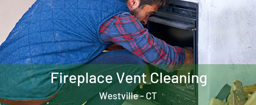 Fireplace Vent Cleaning Westville - CT